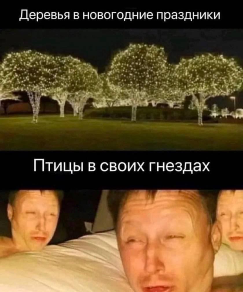 деревья В НОВОГОДНИе праздники