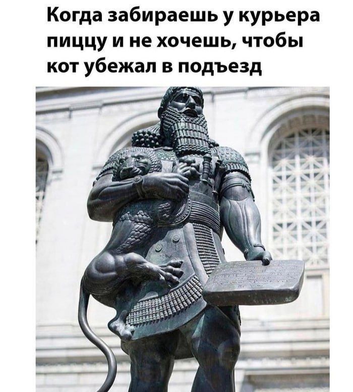 Когда забираешь у курьера пиццу и не хочешь чтобы кот убежал в подъезд