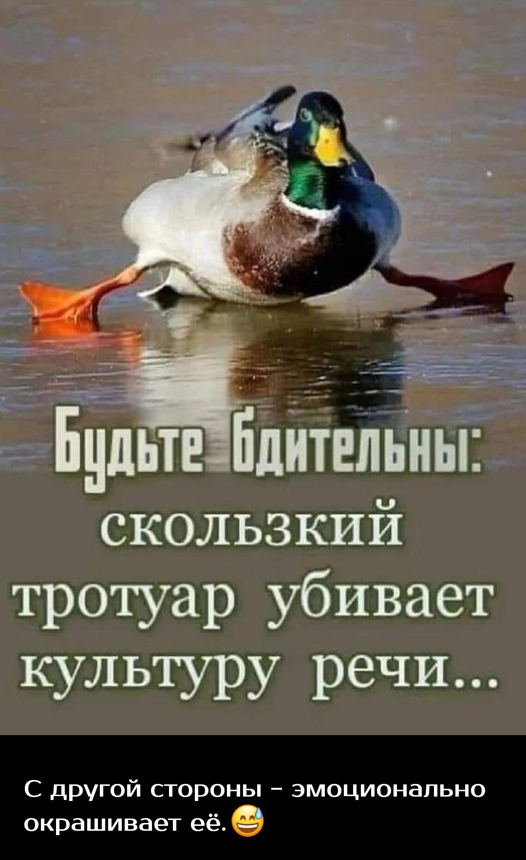 ЕОЁЗЖ _ с тайма С дРУгой строны эмоционально окрашивает её