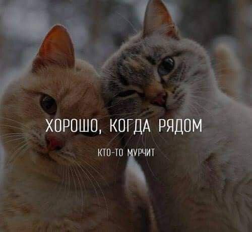 дххшзпшп КОГДА ря ііэ кто такт