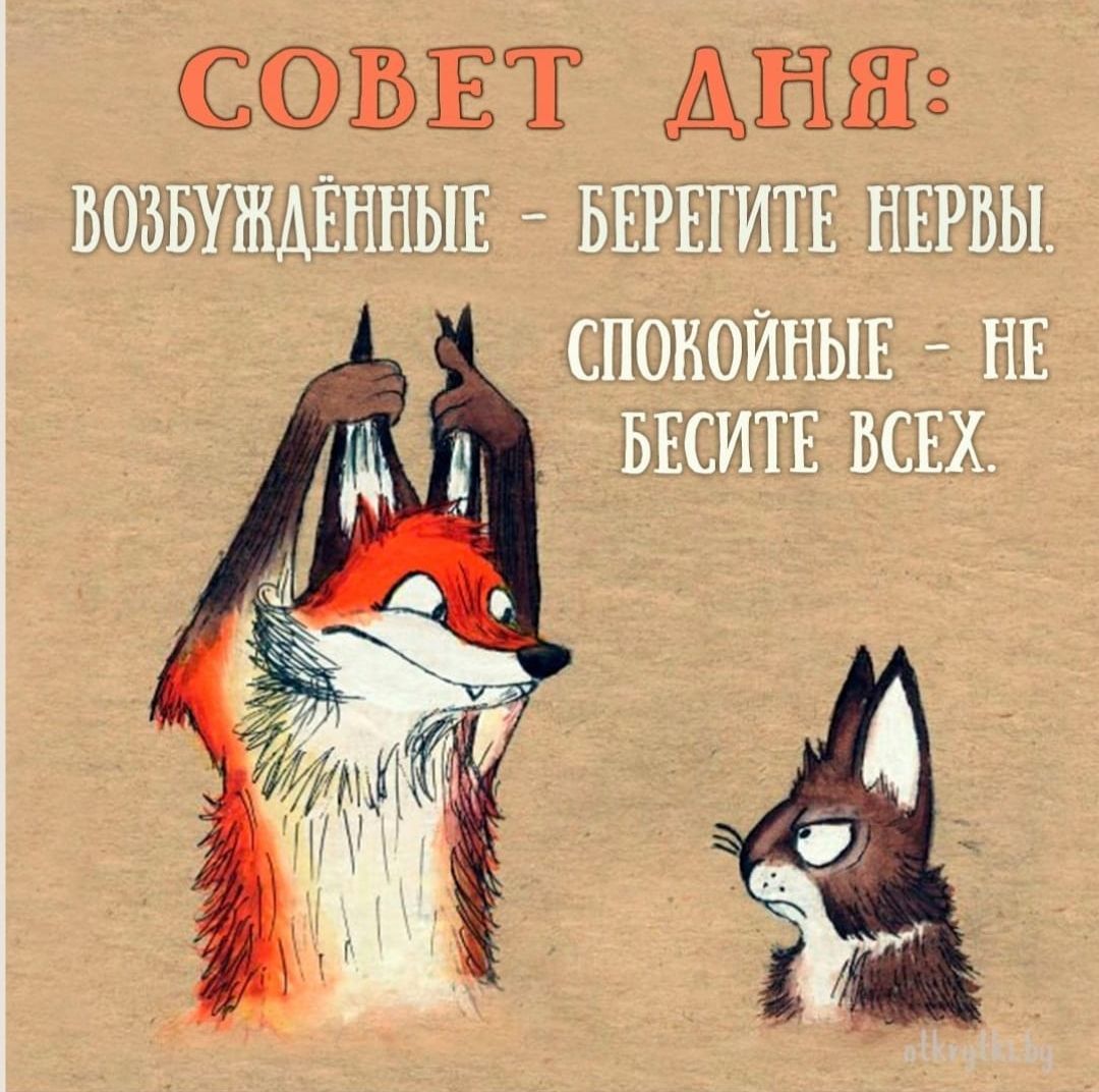 СОВЕТ АЁЯ