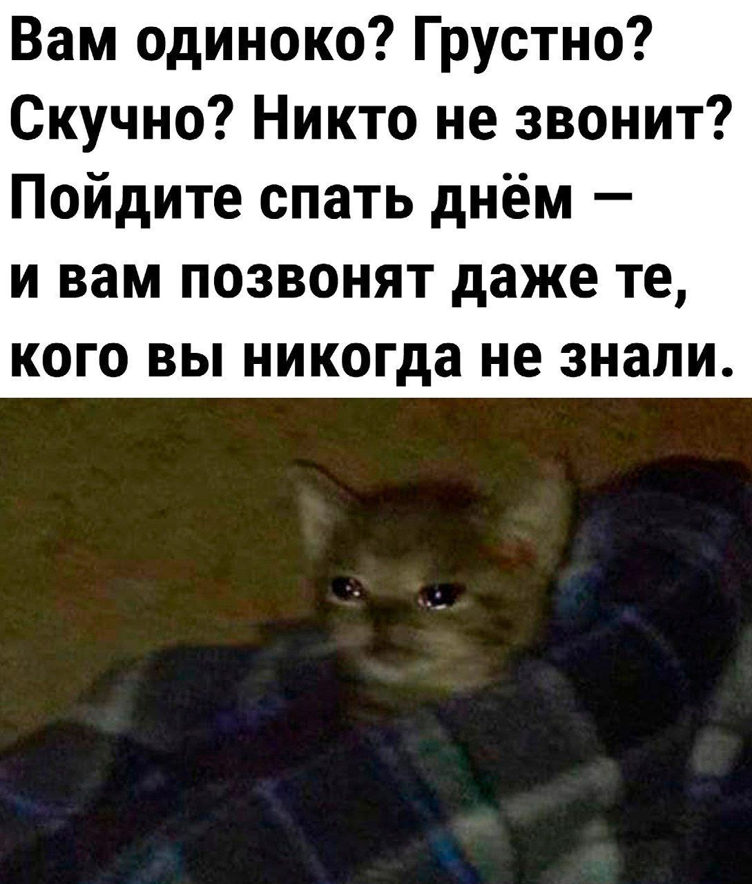 Вам одиноко Грустно Скучно Никто не звонит Пойдите спать днём и вам позвонят даже те кого вы никогда не знали