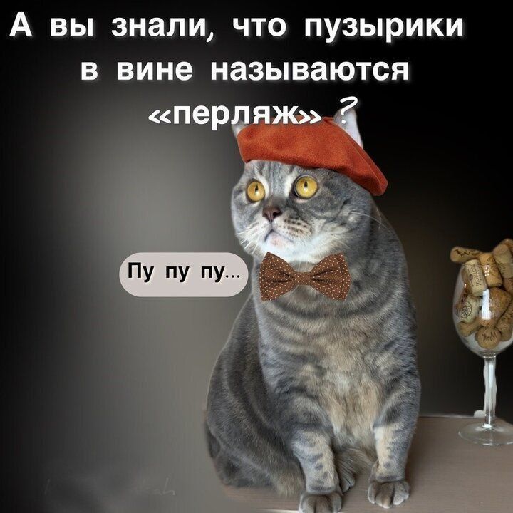 А вы знали что пузырики в вине называются