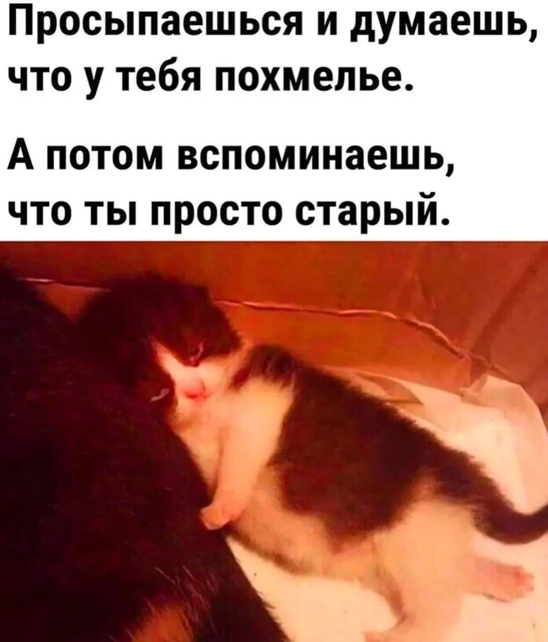 просыпаешься И думаешь ЧТО У тебя похмелье А потом вспоминаешь что ты просто старый