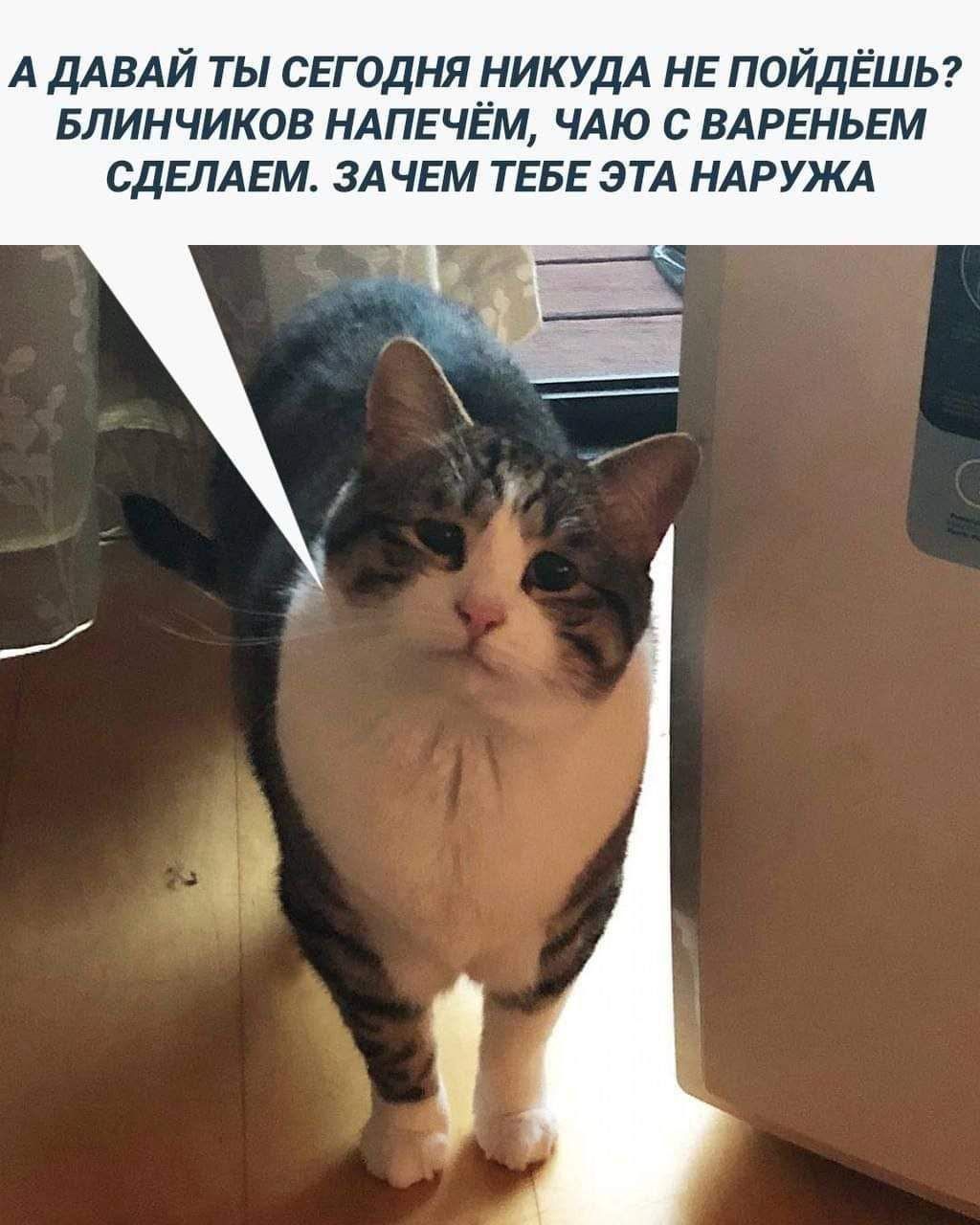 А ДАВАЙ ТЫ СЕГОДНЯ НИК УДА НЕ ПОЙДЁШЬ БЛИНЧИКОВ НАПЕЧЁМ ЧАЮ С ВАРЕНЬЕМ СДЕПАЕМ ЗАЧЕМ ТЕБЕ ЭТА НАРУЖА