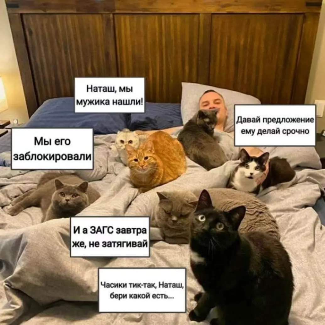 дд нами _ и в ЗАГС завтра ч м и