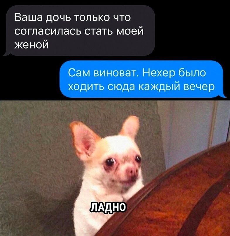 Ваша дочь только что согласилась стать моей женой