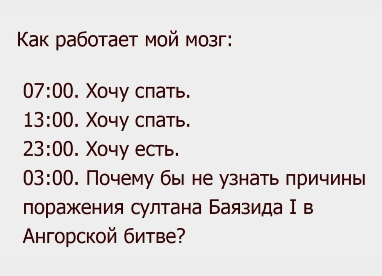 Как работает мой мозг 0700 Хочу спать 1300 Хочу спать 2300 Хочу есгь 0300 Почему бы не узнать причины поражения султана Баязида 1 в Ангарской битве