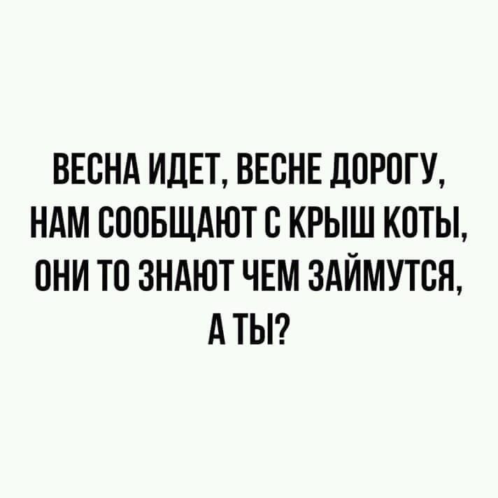 ВЕСНА ИДЕТ ВЕБНЕ ДОРОГУ НАМ СППБЩАЮТ В КРЫШ КПТЫ И ТВ ЗНАЮТ ЧЕМ ЗАЙМУТСН А ТЫ