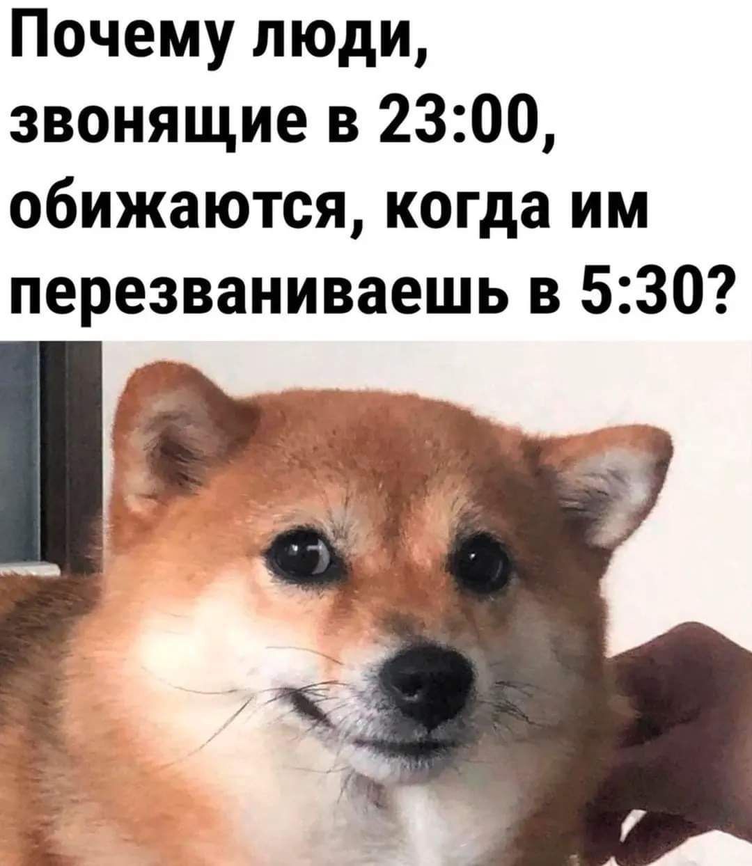 Почему люди звонящие в 2300 обижаются когда им перезваниваешь в 530 1 А і