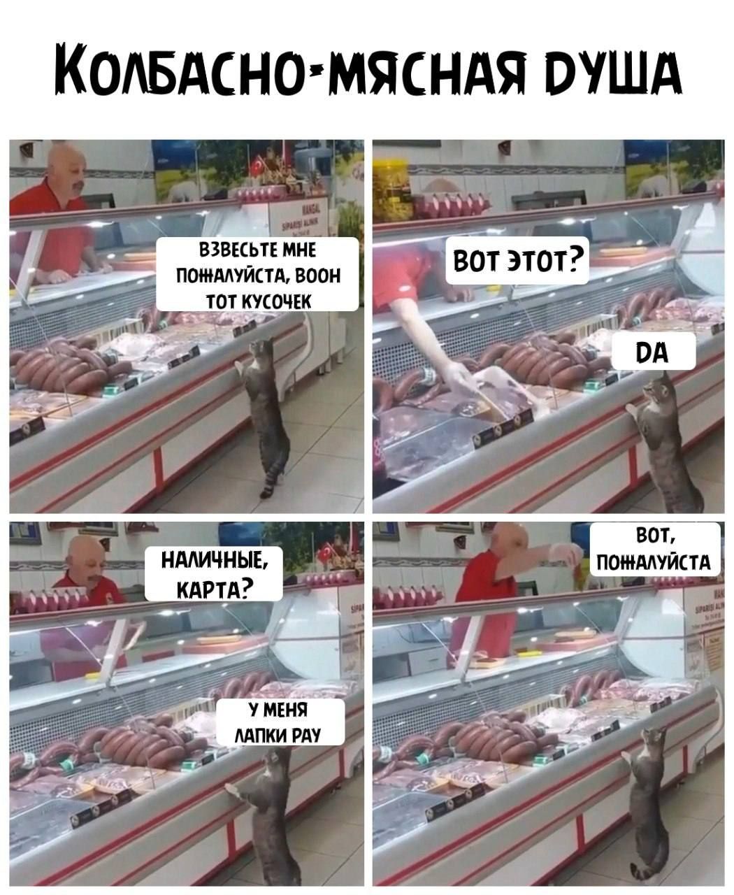 КОАБАСНО МЯСНАЯ оушд щ _ шимшцваш штудии