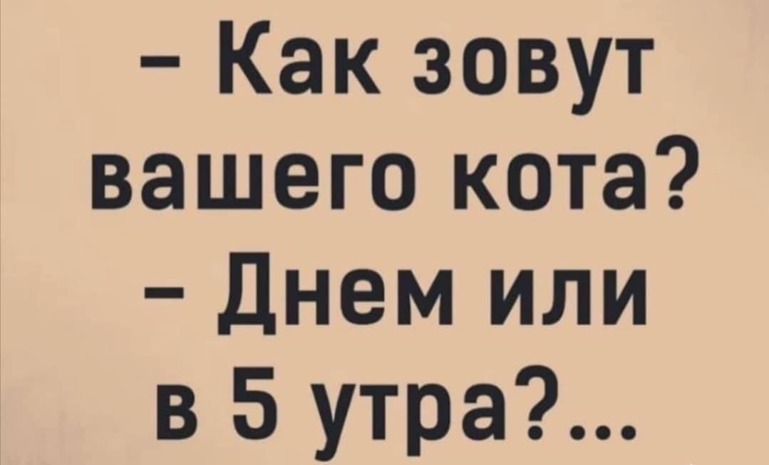 Как зовут вашего кота Днем или в 5 утра