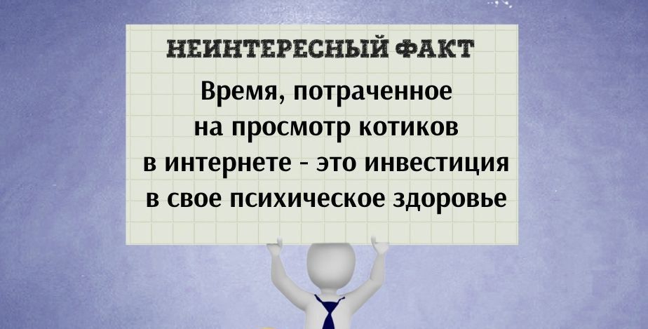 НЕИНТЕРЕСНЫЙ ФАКТ Время потраченное на просмотр котиков в интернете это инвестиция в свое психическое здоровье