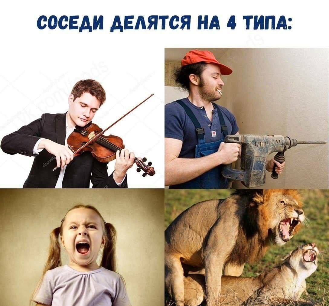 СОСЕДИ АЕАЯТСЯ НА 4 ТИПА