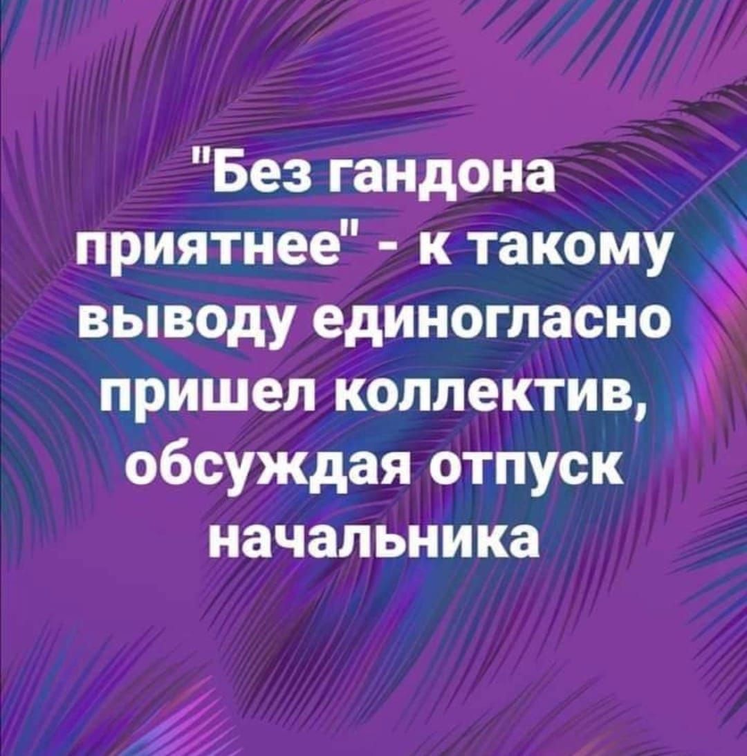 Без гандона приятнее к такому выводу единогласно пришел коллектив обсуждая отпуск начальника