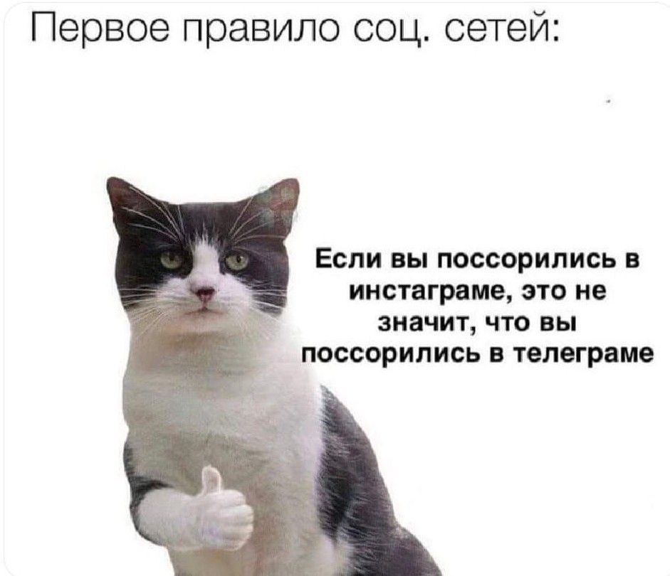 Первое правило соц сетей Если вы поссорились иистаграие это не значит что вы поссорились тапогрвмв