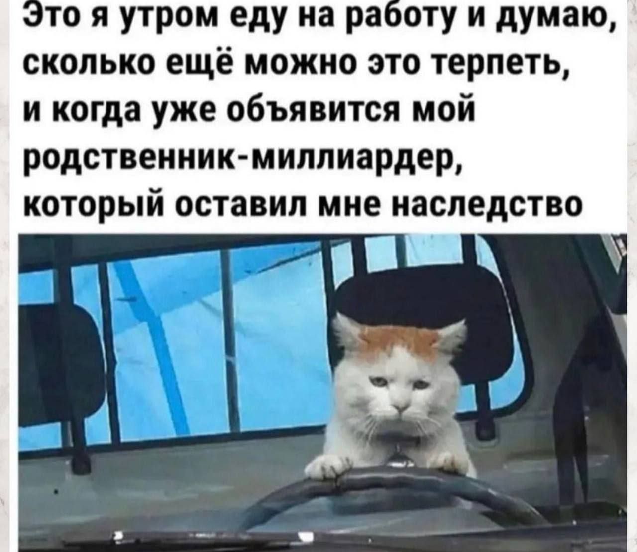 то я утром еду на ра оту и думаю сколько ещё можно это терпеть и когда уже объявится мой РОДСТВЕНИИК миллиардер который ОСТЗВИЛ МНЕ наследство