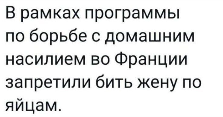 Врамкахпрограммьп поборьбесдомашним насилием во Франции запретилибитькенупо яйцам