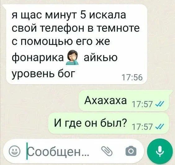 я щас минут 5 искала свой телефон в темноте с помощью его же фонарикая айкыо уровень бог 1756 Ахахаха 1757 И где он был 1757 Ьообщен