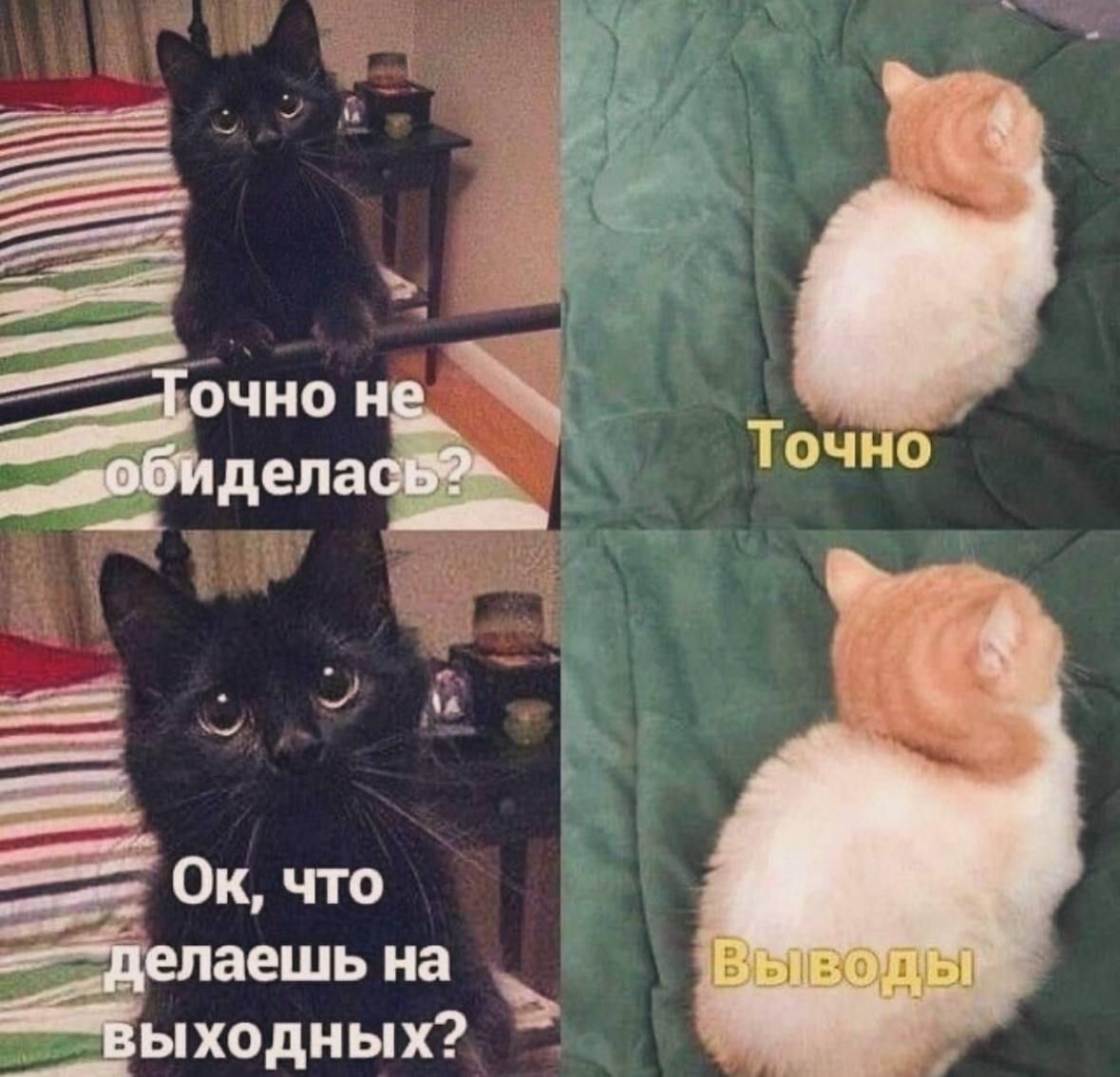 Ок что ЁЁ аешь на одных