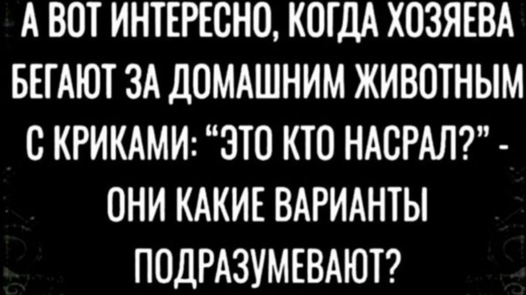 А ВОТ ИНТЕРЕСНО КОГДА ХОЗЯЕВА БЕГАЮТ ЗА ДОМАШНИМ ЖИВОТНЫМ С КРИКАМИ ЭТО КТО НАСРАЛ ОНИ КАКИЕ ВАРИАНТЫ ПОДРАЗУМЕВАЮТ