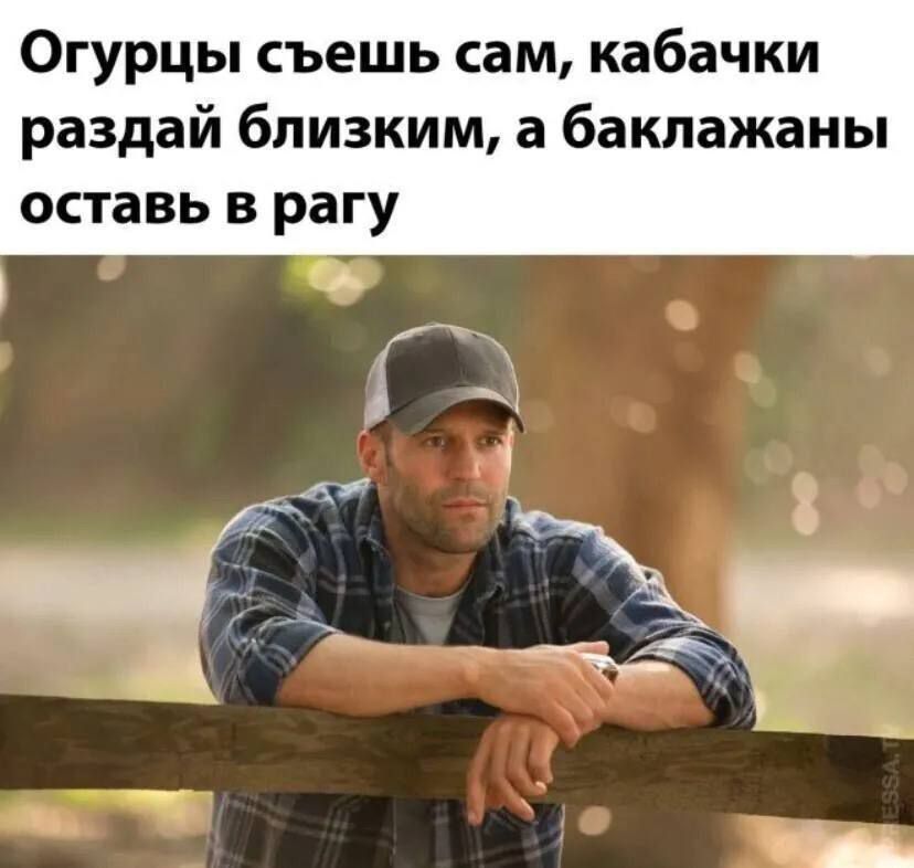 Огурцы съешь сам кабачки раздай близким а баклажаны оставь в рагу