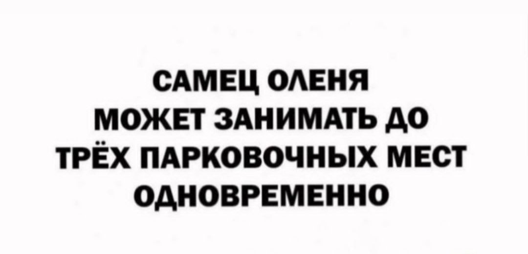 САМЕЦ ОЛЕНЯ МОЖЕТ ЗАНИМАТЬ ДО ТРЁХ ПАРКОВОЧНЫХ МЕСТ ОДНОВРЕМЕННО