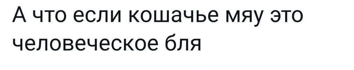 А что если кошачье мяу это человеческое бля