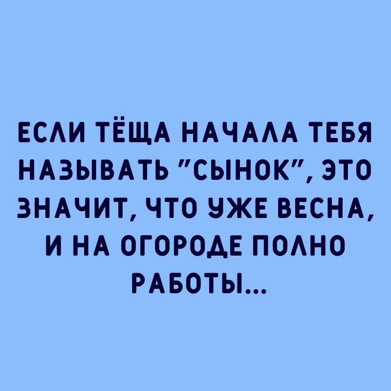 ЕСЛИ ТЁЩА НАЧАЛА ТЕБЯ НАЗЫВАТЬ СЫНОК ЭТО ЗНАЧИТ ЧТО УЖЕ ВЕСНА И НА ОГОРОДЕ ПОЛНО РАБОТЫ