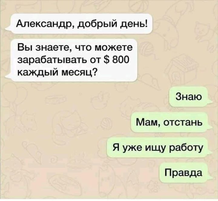 Александр добрый день Вы знаете что можете зарабатывать от 800 каждый месяц Знаю Мам отстань Я уже ищу работу Правда