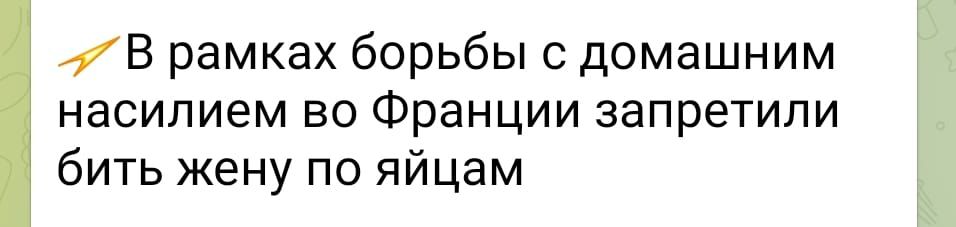 В рамках борьбы с домашним насилием во Франции запретили бить жену по яйцам