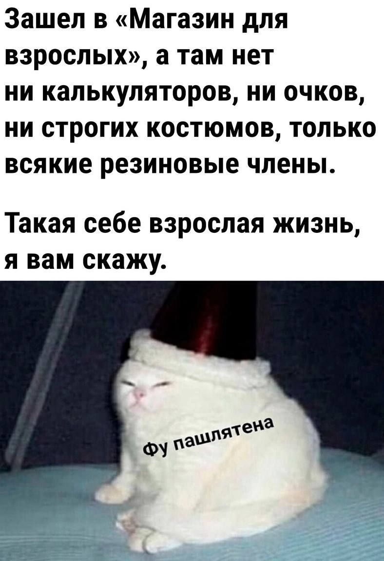 Зашел в Магазин для взрослых а там нет ни калькуляторов ни очков ни строгих костюмов только всякие резиновые члены Такая себе взрослая жизнь я вам скажу