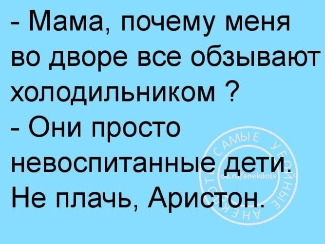 Мама почему меня во дворе все обзывают холодильником Они просто невоспитанные дети Не плачь Аристон