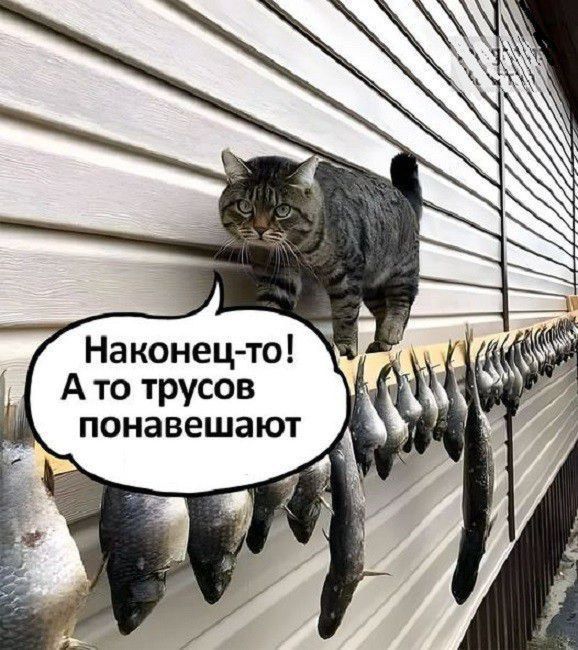 Наконец то Ато трусов понавешают