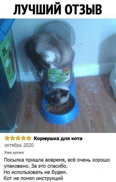 ЛУЧШИЙ ОТЗЫВ Кормушка для кота октябрь 2020 Уже купил Посылка пришла вовремя всё очень хорошо упаковано За это спасибо Но использовать не будем Кот не понял инструкций