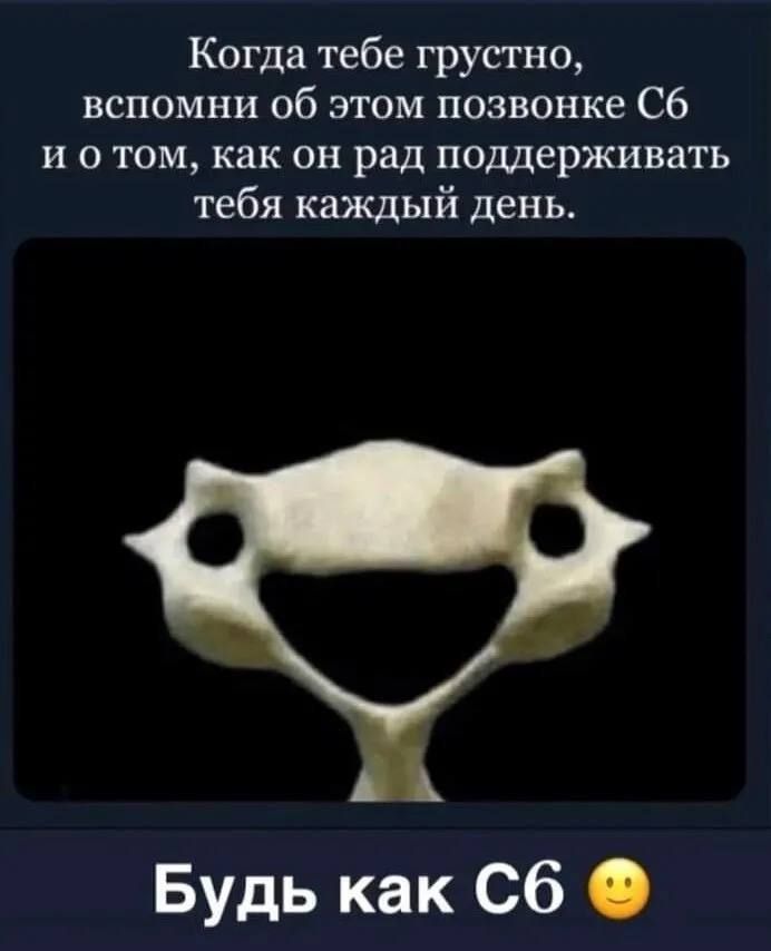 Когда тебе грустно вспомни об этом позвонке Сб и отом как он рад поддерживать тебя каждый день Будь как Сб