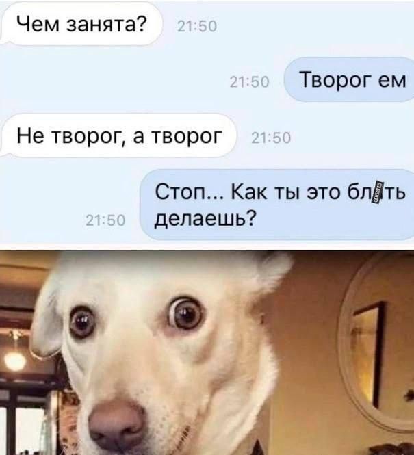 Чем занята Творог ем Не творог а творог Стоп Как ты это блйть делаешь