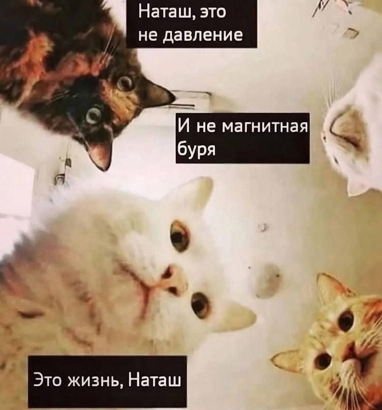 Наташ это не давление 1 Это жизнь Наташ й ке