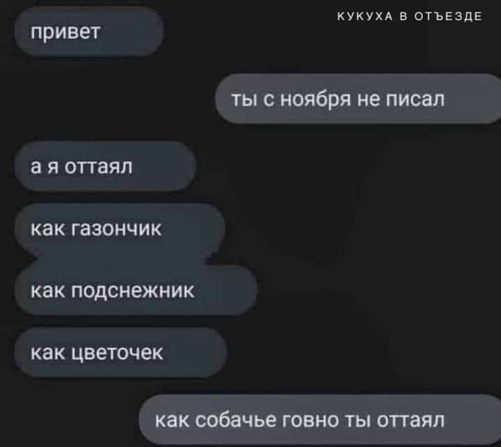 КУКУХА В ОТЪЕЗДЕ привет ты с ноября не писал ая оттаял как газончик как подснежник как цветочек как собачье говно ты оттаял