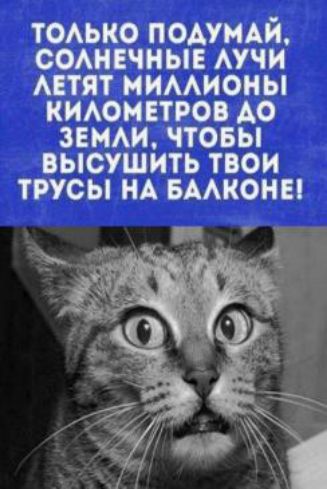 ТОЛЬКО ПОДУМАЙ СОЛНЕЧНЫЕ ЛУЧИ ЛЕТЯТ МИЛЛИОНЫ КИЛОМЕТРОВ ДО ЗЕМЛИ ЧТОБЫ ВЫСУШИТЬ ТВОИ ТРУСЫ НА БАЛКОНЕ