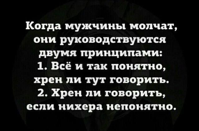 Когда мужчины молчат они руководствуются двумя принципами 1 Всё и так понятно хрен ли тут говорить 2 Хрен ли говорить если нихера непонятно