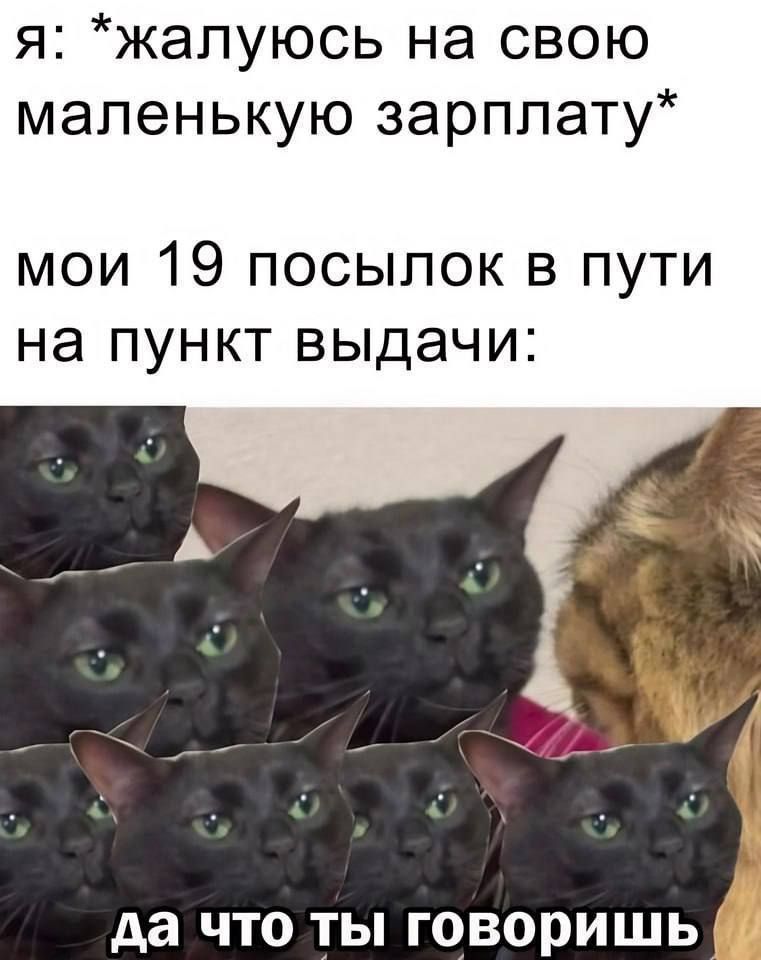 я жалуюсь на свою маленькую зарплату мои 19 посылок в пути на пункт выдачи да что ты говоришь