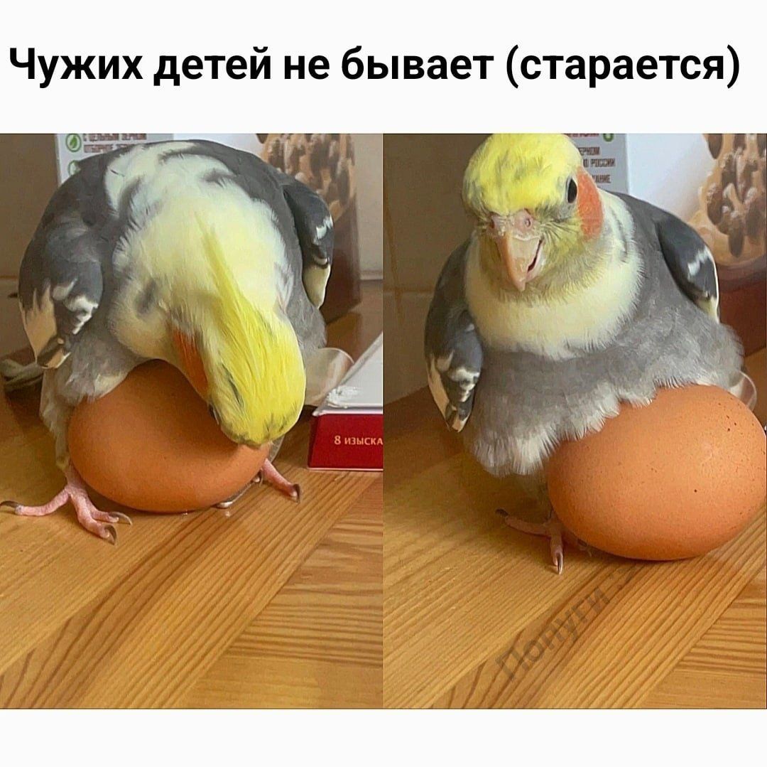 Чужих детей не бывает старается