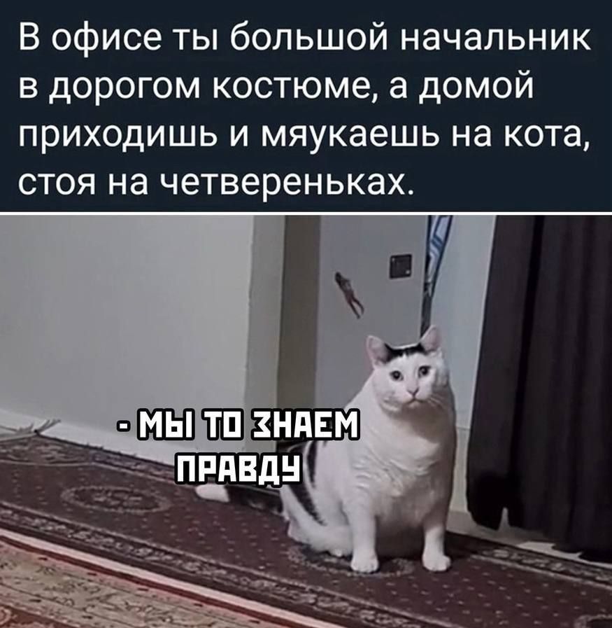 В офисе ты большой начальник в дорогом костюме а домой приходишь и мяукаешь на кота стоя на четвереньках