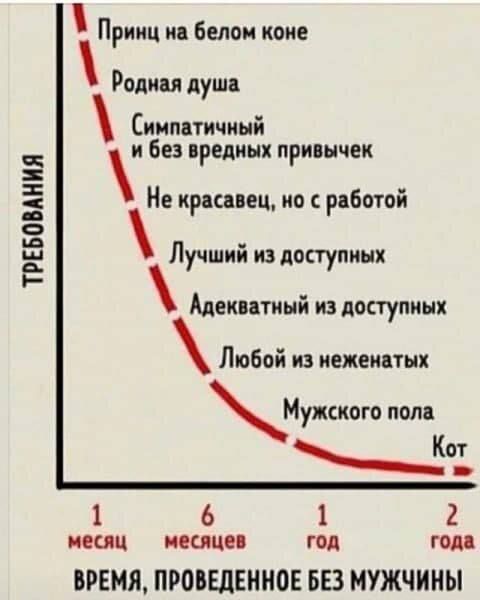 ТРЕБОВАНИЯ Принц на белом коне Родная душа Симпатичный и без вредных привычек Не красавец но с работой Лучший из доступных Адекватный из доступных Любой из неженатых Мужскпго пола К от 1 6 1 2 месяц месяцев год года ВРЕМЯ ПРОВЕДЕННОЕ БЕЗ МУЖЧИНЫ