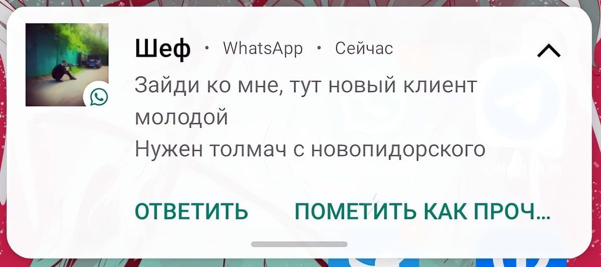 молодой Нужен толмач с новопидорского ОТВЕТИТЬ ПОМЕТИТЬ КАК ПРОЧ а НЕНЕ Шеф занзАрр Сейчас Зайди ко мне тут новый клиент