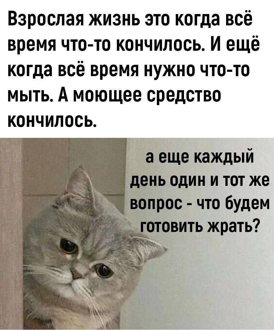 Взрослая жизнь это когда всё время что то кончилось И ещё когда всё время нужно что то мыть А моющее средство КОНЧИЛоСЬ а еще каждый день один и тот же