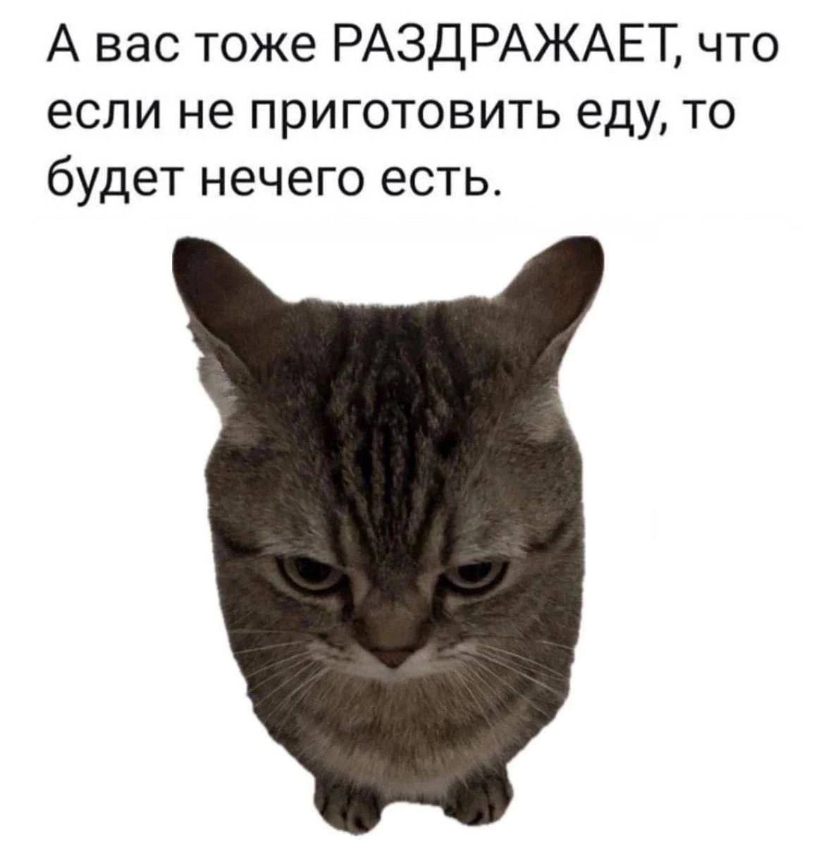 А вас тоже РАЗДРАЖАЕТ что если не приготовить еду то будет нечего есть