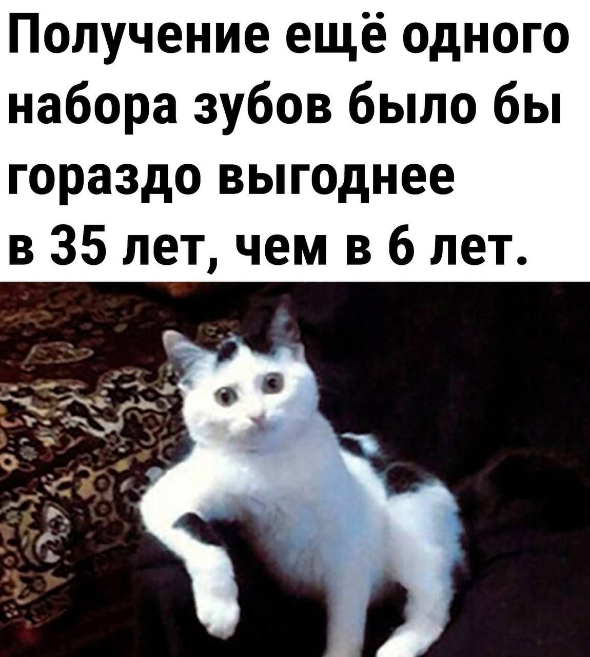 Получение ещё одного набора зубов было бы гораздо выгоднее в 35 лет чем в 6 лет