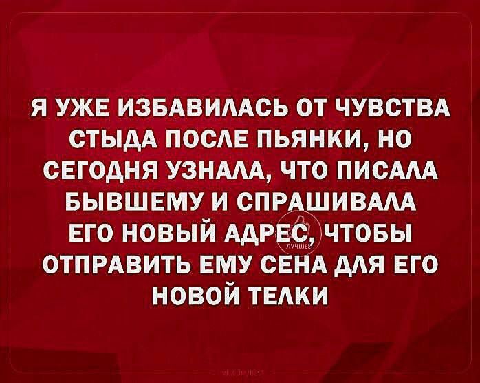 Я УЖЕ ИЗБАВИЛАСЬ ОТ ЧУВСТВА СТЫДА ПОСЛЕ ПЬЯНКИ НО СЕГОДНЯ УЗНАЛА ЧТО ПИСАЛА БЫВШЕМУ И СПРАШИВАЛА ЕГО НОВЫЙ ААРЕО ЧТОБЫ ОТПРАВИТЬ ЕМУ СЕНА ДЛЯ ЕГО НОВОЙ ТЕЛКИ